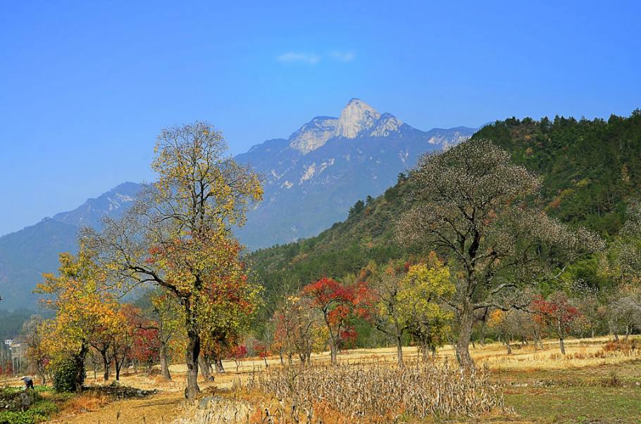 羅田天堂寨旅游拓展基地